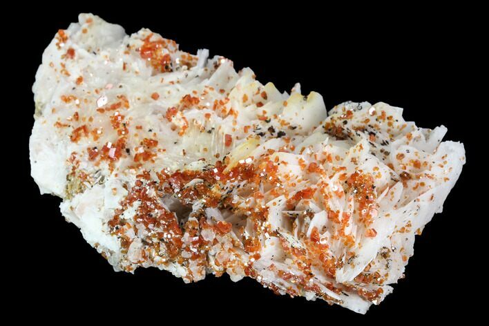 Ruby Red Vanadinite Crystals on Barite - Morocco #100696